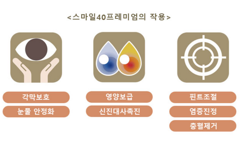 🇯🇵스마일 40 프리미엄 아이드롭 | 비타민 B6·A·E 함유 눈 피로·건조 개선 안약/Smile 40 Premium Eye Drops | Vitamin B6·A·E Formula for Eye Fatigue & Dryness Relief (Japan Best Seller)