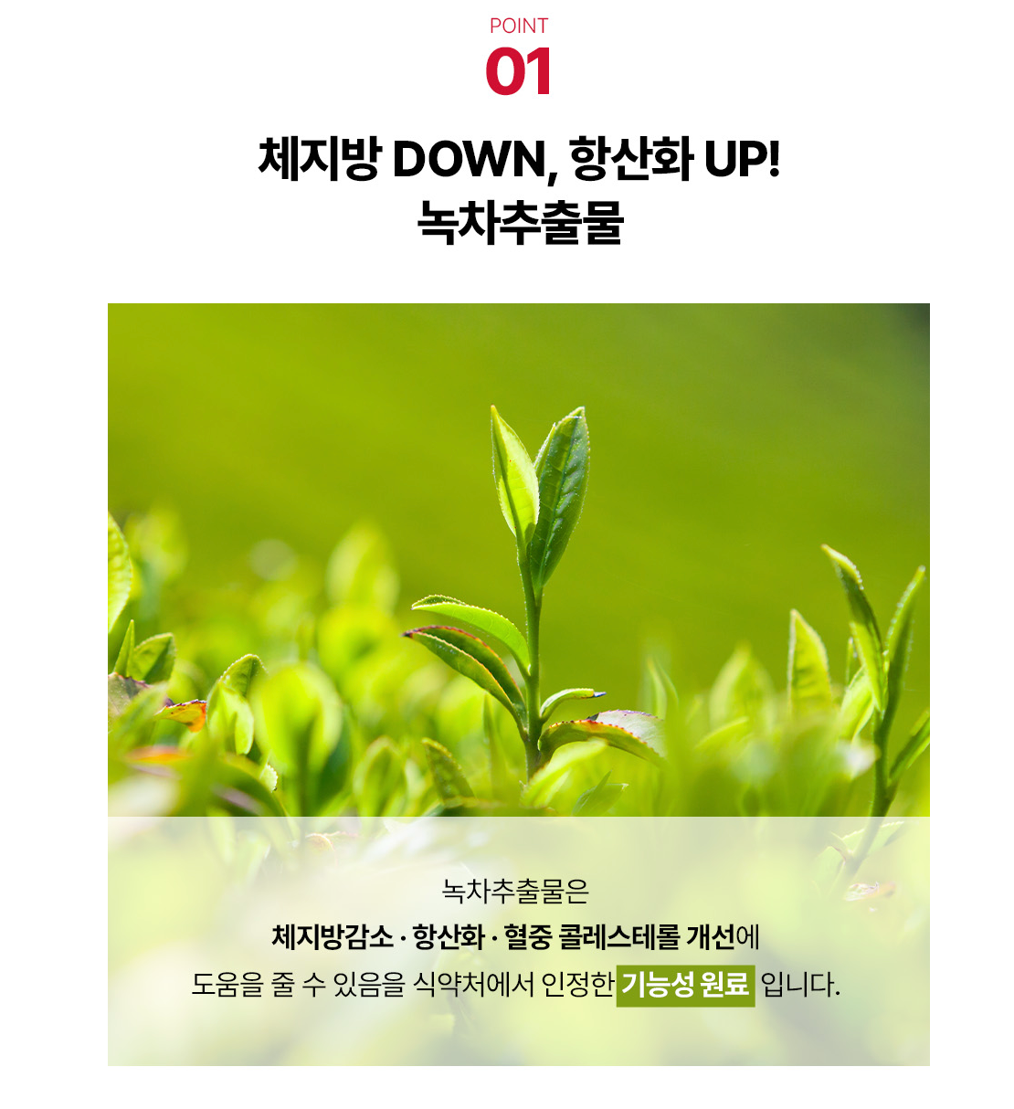 🇰🇷2+1 Sale!![FOODOLOGY] 콜레올로지 컷팅 젤리 — 대한민국 1등 다이어트 젤리 / COLEOLOGY Cutting Jelly — Korea’s No.1 Olive Young Diet Jelly