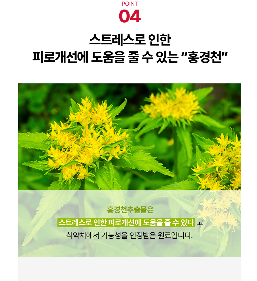 🇰🇷2+1 Sale!![FOODOLOGY] 콜레올로지 컷팅 젤리 — 대한민국 1등 다이어트 젤리 / COLEOLOGY Cutting Jelly — Korea’s No.1 Olive Young Diet Jelly