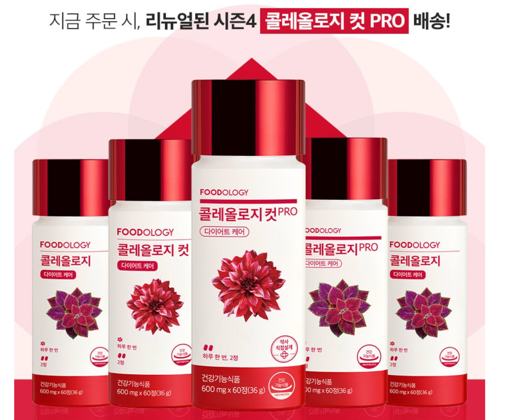 🇰🇷🔥[FOODOLOGY] 콜레올로지 컷 PRO  다이어트 유산균— 4차 리뉴얼 체지방·장건강 유산균 다이어트 포뮬러 / COLEOLOGY CUT PRO — 4th Renewal Fat & Gut Health Probiotic Diet Formula