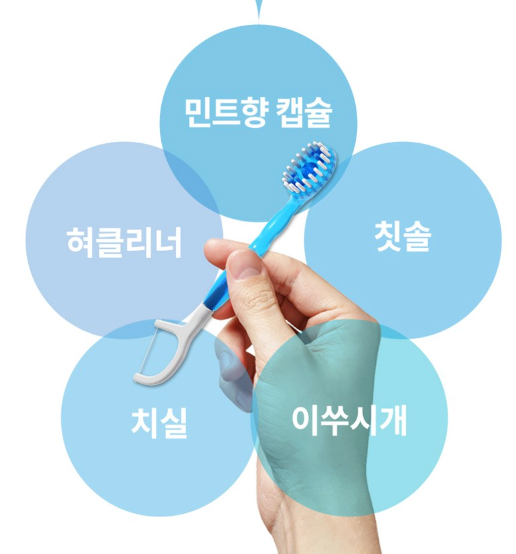 🪥✈️🦷[HR] 퀵클린 물 없이 쓰는 일회용 미니칫솔(민트향 캡슐) 10개입 / Quick Clean Waterless Mini Toothbrush (Mint Capsule) – 10 Pack