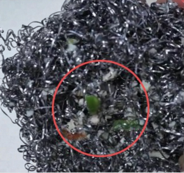 [긁힘없는 철수세미] 니엘로 의료용 316L 스테인리스 철수세미 18cm  Nielo 316L Stainless Steel Scrubber – Large 18cm**