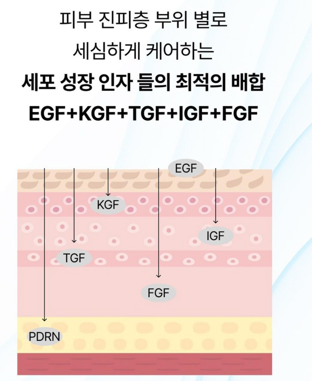 🔥[레이저&여드름 재생크림][한국약국 대란템][닥터유셀라] EGF+PDRN 펜타비틴 이펙트 부스터 리페어 크림 50g / Dr.Ucella EGF+PDRN Pentavitin Effect Booster Repair Cream 50g
