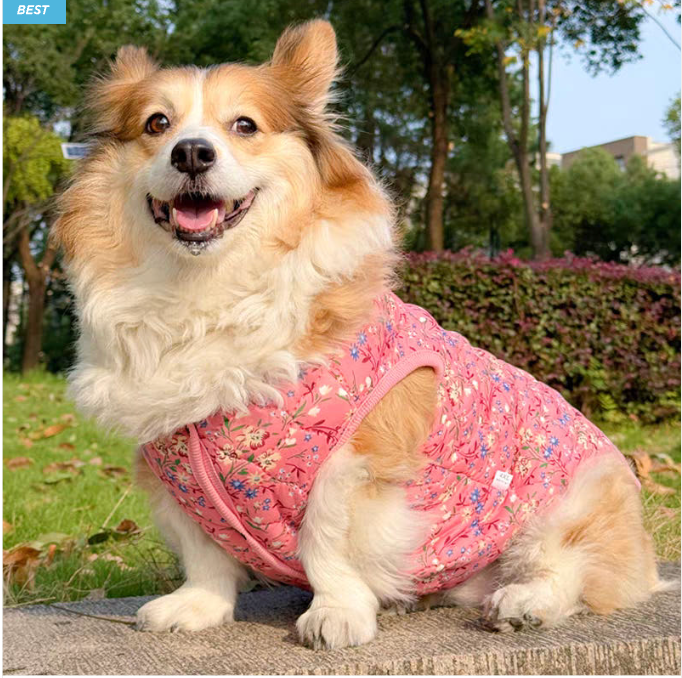 🐶 [대형견] 할매 김장 패딩 Dog Kimchi Vest Puffer Jacket