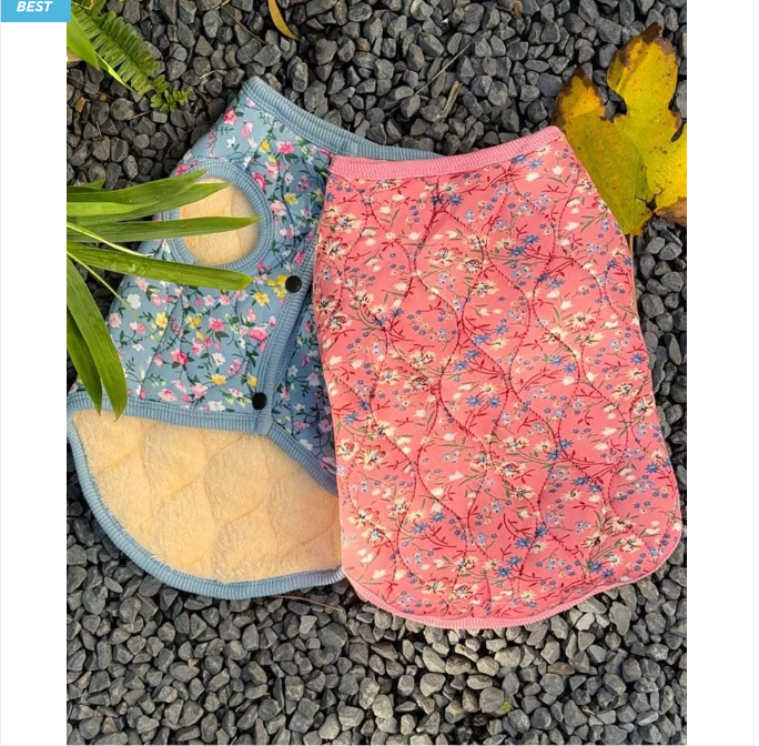 🐶 [대형견] 할매 김장 패딩 Dog Kimchi Vest Puffer Jacket