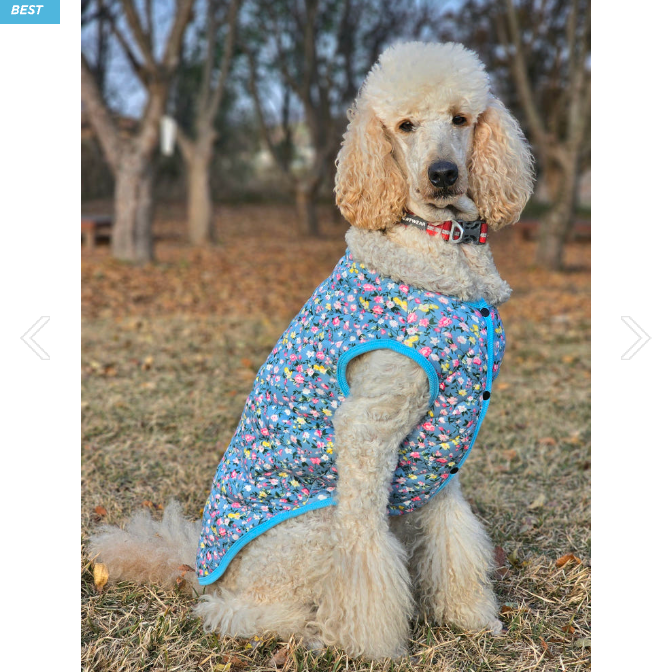 🐶 [대형견] 할매 김장 패딩 Dog Kimchi Vest Puffer Jacket