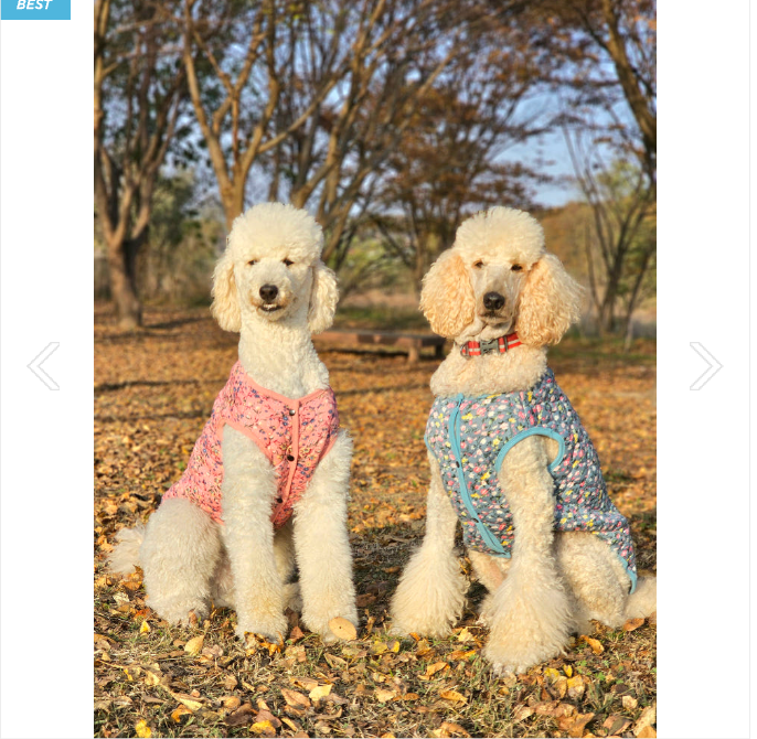 🐶 [대형견] 할매 김장 패딩 Dog Kimchi Vest Puffer Jacket