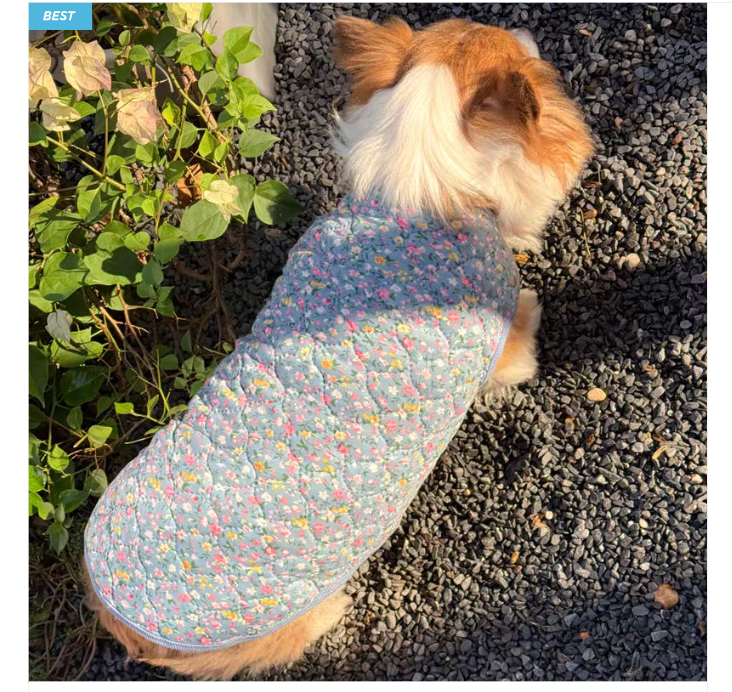 🐶 [대형견] 할매 김장 패딩 Dog Kimchi Vest Puffer Jacket