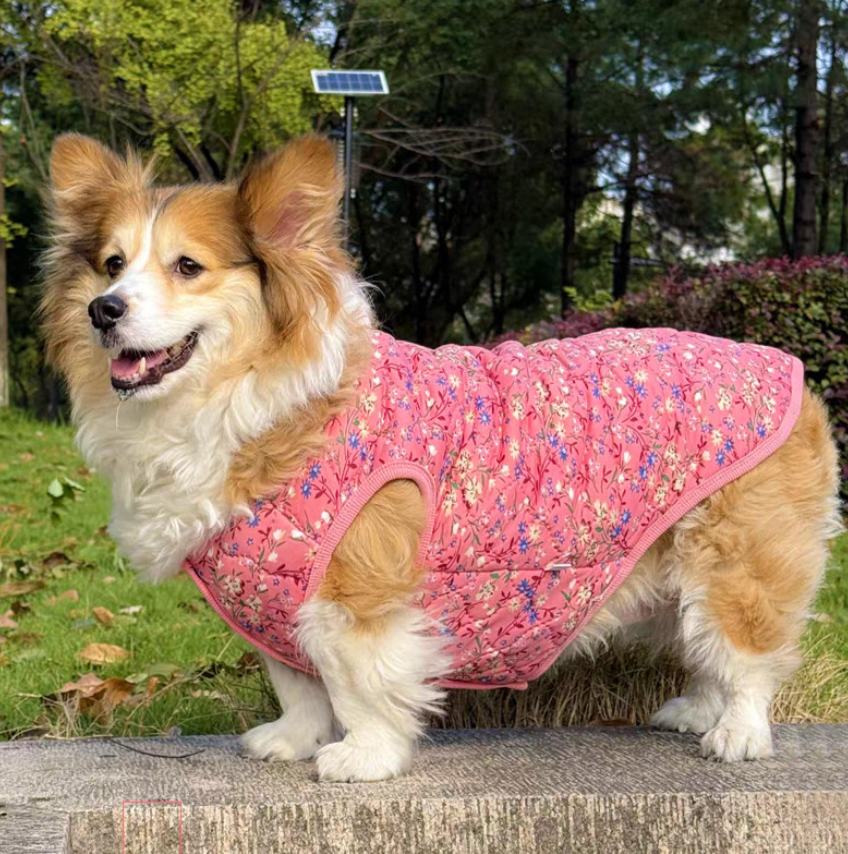 🐶 [대형견] 할매 김장 패딩 Dog Kimchi Vest Puffer Jacket