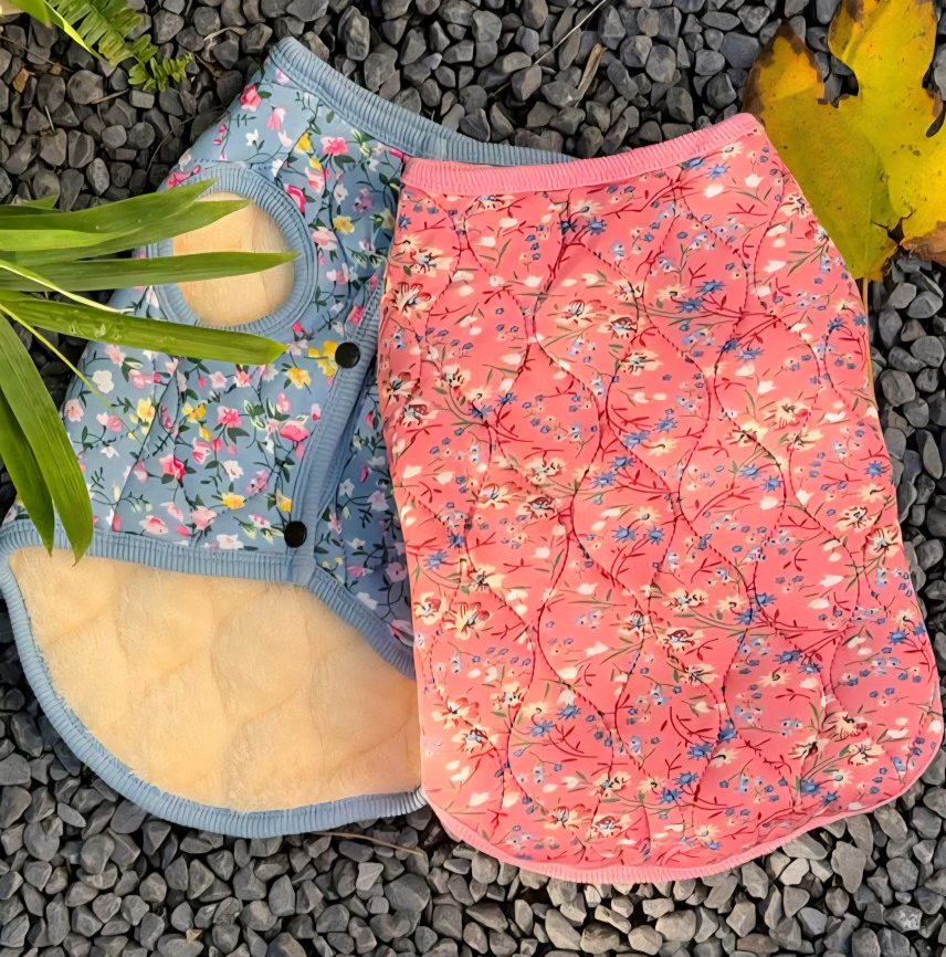 🐶 [대형견] 할매 김장 패딩 Dog Kimchi Vest Puffer Jacket