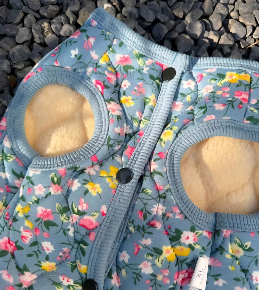 🐶 [대형견] 할매 김장 패딩 Dog Kimchi Vest Puffer Jacket