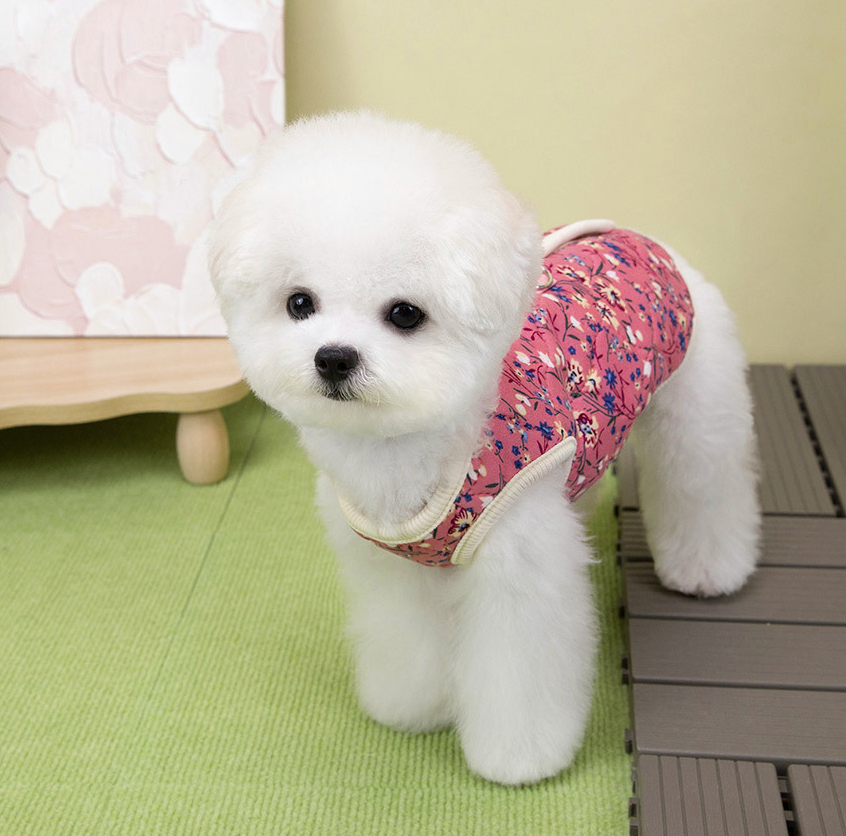 🐶[소형견] 할매 꽃무늬 김장조끼 Small Dog Grandma Floral Padded Vest