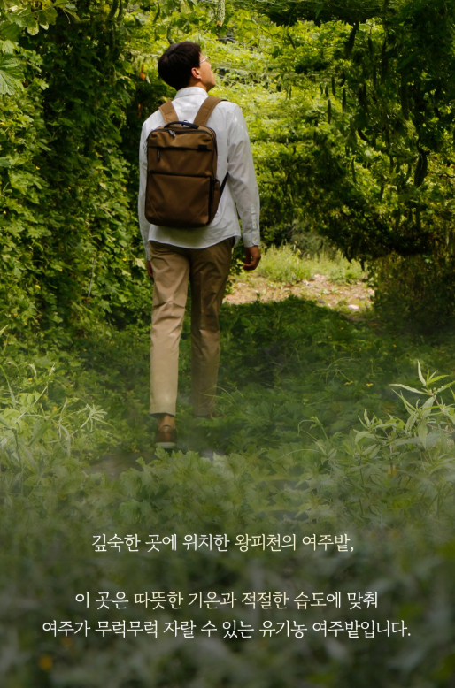 🍃[편하게 섭취가능한 여주환]🍃 유기농 여주환 스틱 Organic Bitter Melon Pill Stick  국내산 100% 유기농 여주로 완성한 데일리 클린 케어