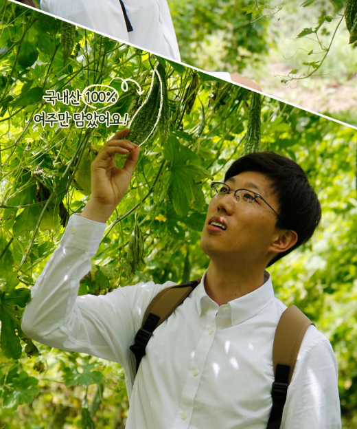 🍃[편하게 섭취가능한 여주환]🍃 유기농 여주환 스틱 Organic Bitter Melon Pill Stick  국내산 100% 유기농 여주로 완성한 데일리 클린 케어