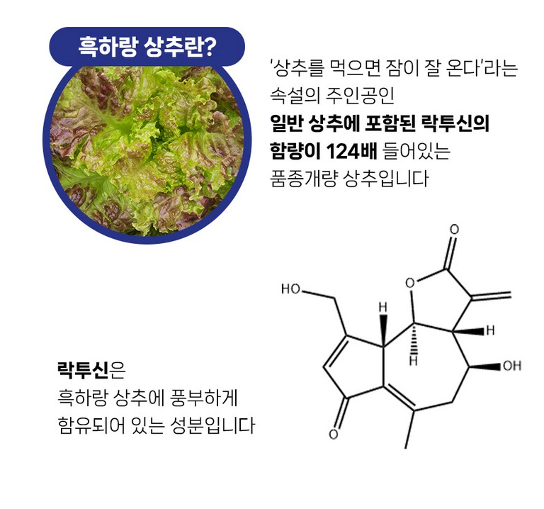 👧🏻💪[한국 키성장 젤리] 키눈잠 부스터 (블루베리향 젤리)  Kid Growth · Eye · Sleep Support Jelly