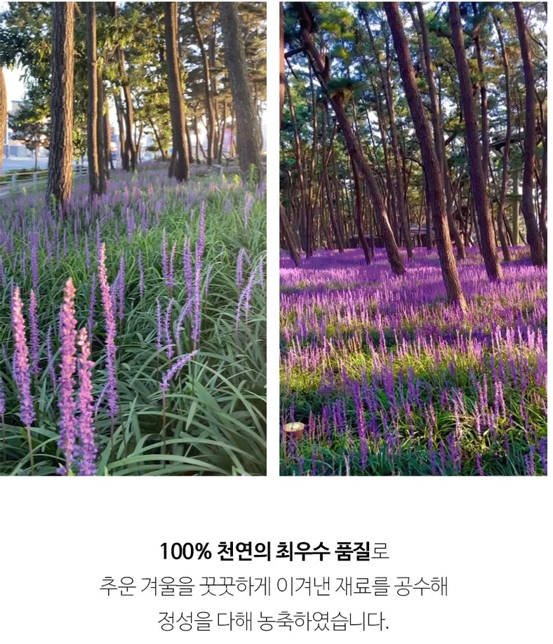 👃🏻😷[온가족 비염케어]🤧 [코쁨] 프리미엄 저온숙성 농축액 (KOBBM) – 온가족 비염 케어 스틱 KOBBM Premium Cold-Fermented Herbal Concentrate – Family Nasal Wellness Stick