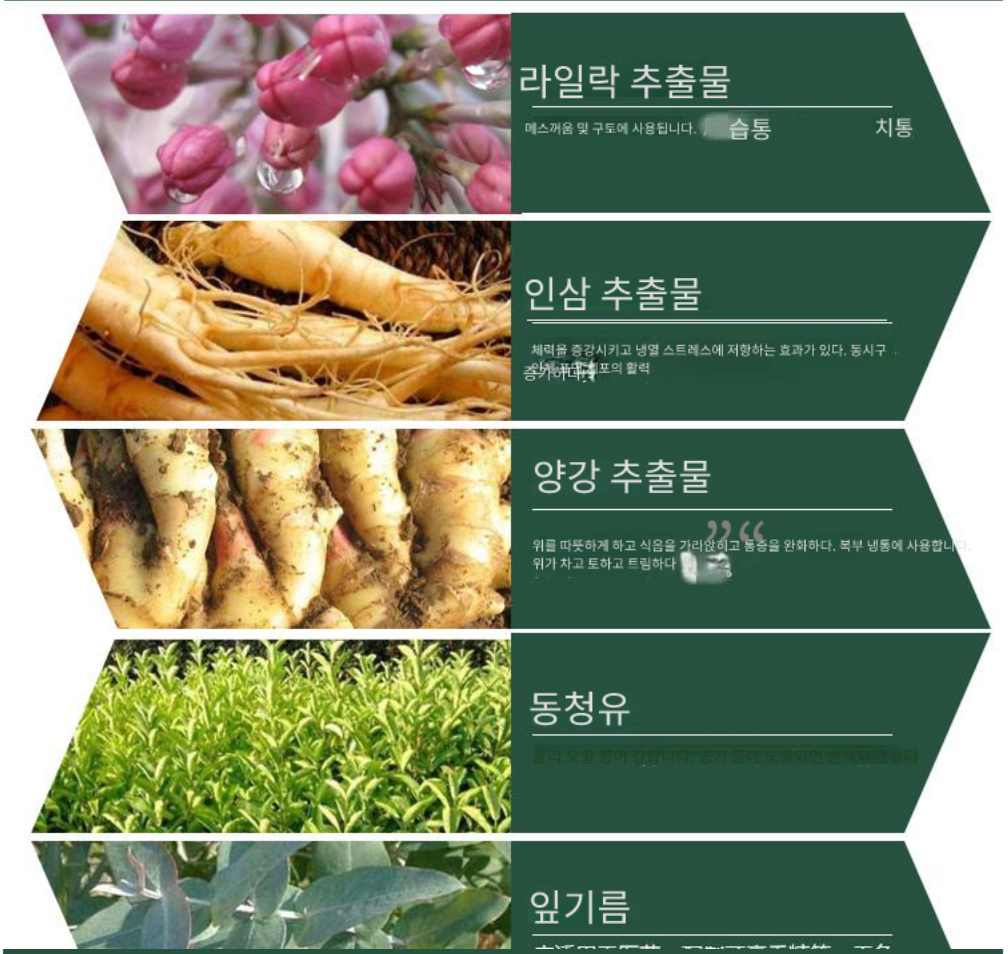 🌿[Thai Herbal Relief Oil]🌿✨ 태국 정품 야몽 그린 허브 오일 롤온 3개 세트  / Authentic Thai Ya Mong Green Herb Thai Herbal Relief Oil Oil Roll-On 3pcs Set 🌿✨