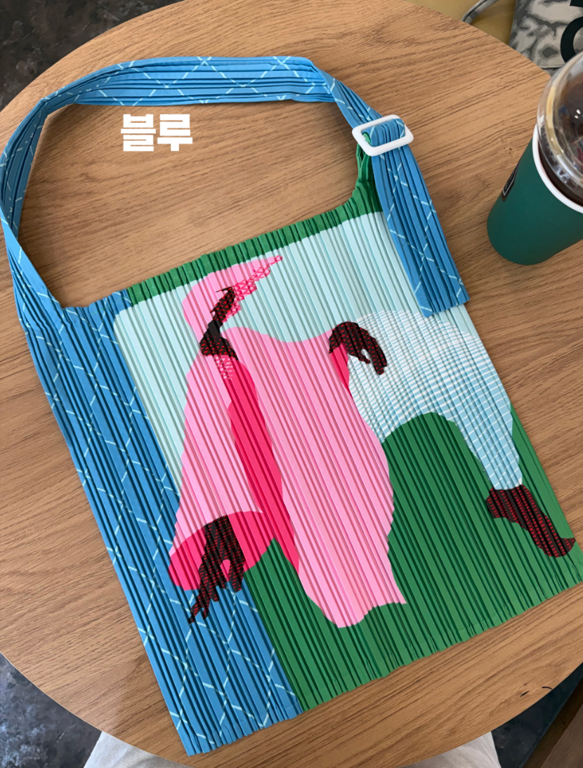 🎨아트 프린팅 플리츠 숄더백 접이식 경량 데일리백 여행용 에코백 감성 일러스트 플리츠백 SONO Art Pleated Shoulder Bag✨