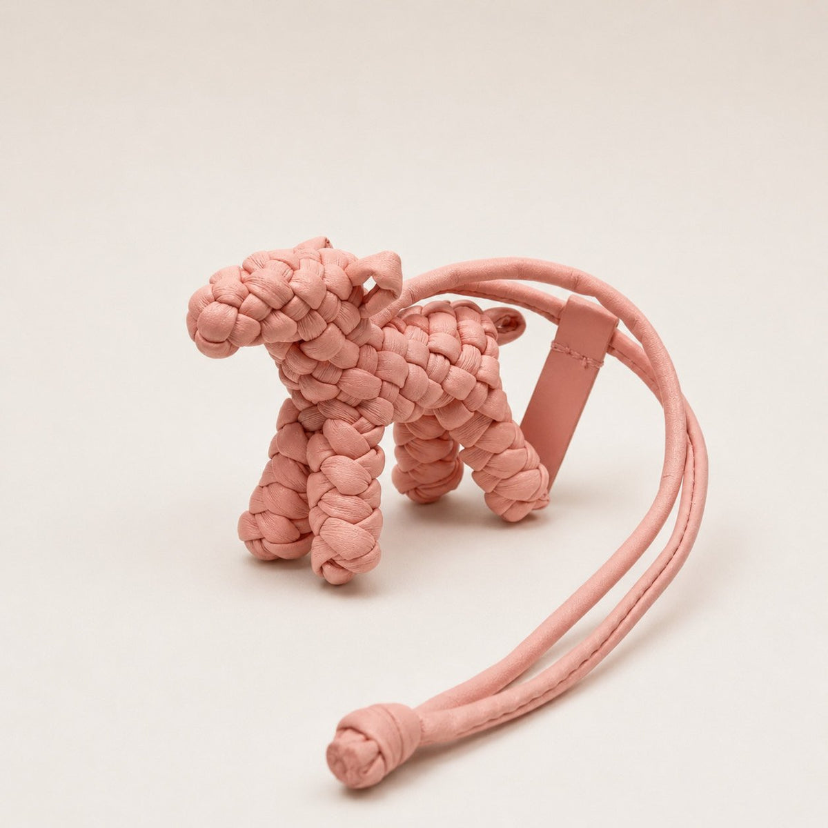 🐶 [보테 스타일·위빙] 위빙 도그 백참 | Woven Dog Bag Charm PU